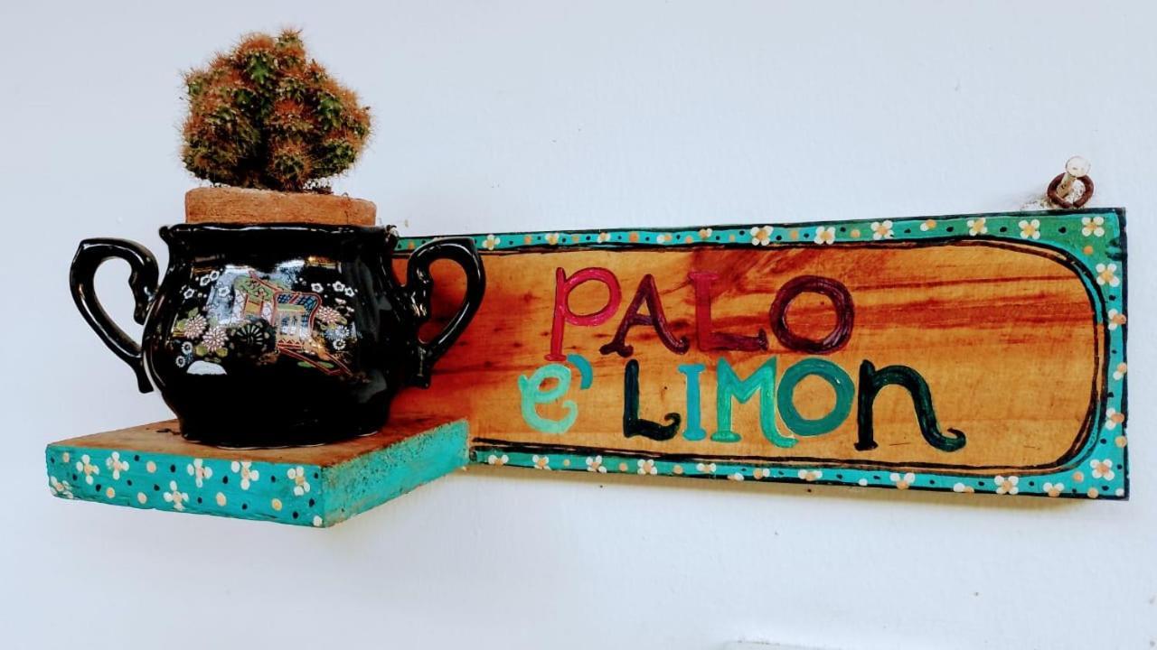Hermoso Palomino Exteriér fotografie