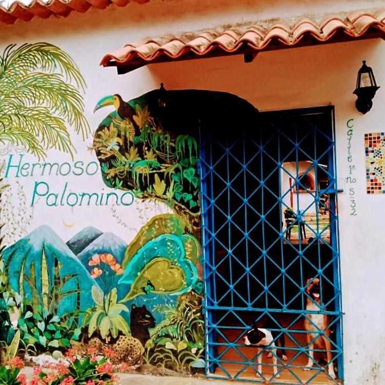 Hermoso Palomino Exteriér fotografie